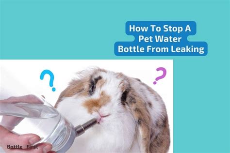 pet water bottle leaking|How to Stop Pet Water Bottles from Dripping